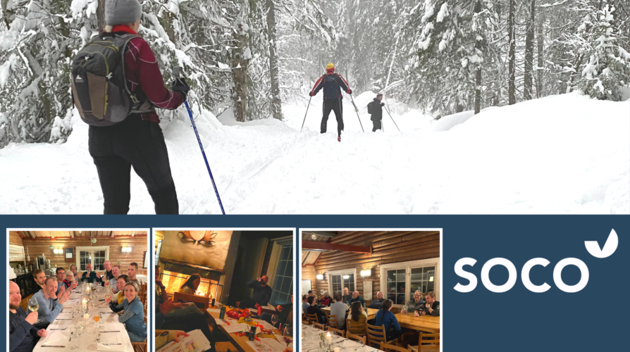 folk på ski i skog